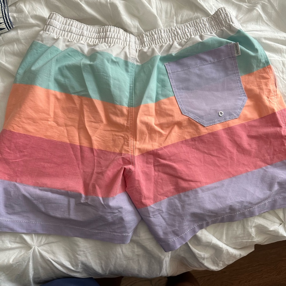 Chubbies men’s 4 way stretch bathing suit